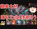 【パズドラ】 龍楽士杯　落ちコンなしバッジなしでも頑張る！