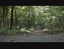 Wooded Park Pathway　えひめ共同産業合同会社