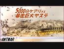 暴走巨大ヤスデvs5000のケアリ～砕けない心～