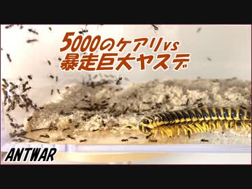 暴走巨大ヤスデvs5000のケアリ～砕けない心～