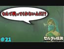 【続編決定記念】のんびりと伝説「ゼルダの伝説～ブレスオブザワイルド～」　＃21