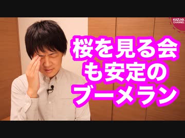 野党の「桜を見る会」追及、やっぱりブーメランかよ