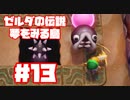 【ゼルダの伝説　夢をみる島】そこは一度入ると出られない、不思議な島。【＃13】