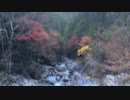 [旅行]阿寺渓谷をただ見るだけの30秒