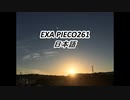 EXA PIECO261日本語