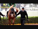 【現地映像】勝ったのは12番人気の馬・3連単40万超え　ある法則を知っていれば取れる万馬券　パドッククイズ難易度SSS