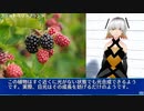 ブラッドベリープラント（カオスインサージェンシー）