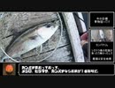 暇つぶしフィッシングPart11