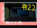 【ニュールーマニア ポロリ青春】相も変わらずROOMMANIA初見実況【実況プレイ】part22