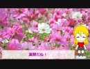 ＮＳ－１で行く！コスモス観賞♪