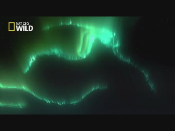 北極圏のフレンズ「氷と火山の島」