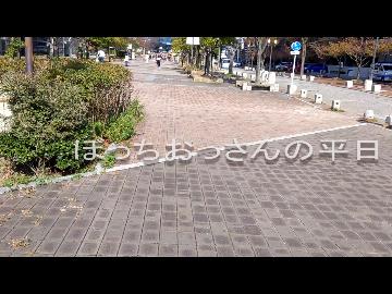 ぼっちおっさんの平日