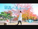 【*凛*】彗星ハネムーン【踊ってみた】