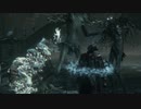 【Bloodborne実況】ヤーナムの血の夜を絶叫ハンターが「い」く part12