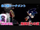 □■格闘王への道 ソニック編【姉弟実況】