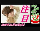 11予告、安倍首相、桜を見る会中止発表。桜井誠を応援！菜々子の独り言　2019年11月14日(木）