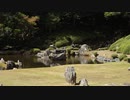 禅の庭！真夏の西の京　 山口の大内文化　香山・常榮廣利禅寺（常栄寺）　雪舟庭園 拝観