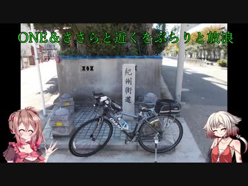 【車載動画】OИEとささらの近場をぐるりと放浪:8【紀州街道～二色の浜】
