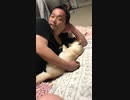懐が好きです。