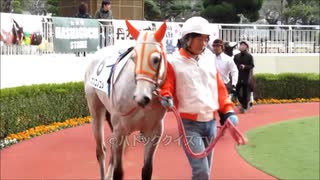 【現地映像】パドッククイズ難易度F　馬連がたった700円だったレースのパドック　馬が好きな人、競馬初心者さん向き