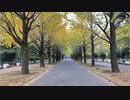 2019年11月13日1枠目　光が丘団地群と紅葉並木の様子を見にいきたい