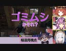 なんやかんやあって最終的にゴミムシと言われてしまう、でびでび・でびる【にじさんじ・切り抜き】【桜凛月/ ラトナ・プティ / アルス・アルマル / でびでび・でびる】