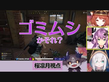 なんやかんやあって最終的にゴミムシと言われてしまう、でびでび・でびる【にじさんじ・切り抜き】【桜凛月/ ラトナ・プティ / アルス・アルマル / でびでび・でびる】