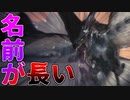 【MHW:IB】「凍て刺す」は「凍り付く」という意味らしいです【ゆっくり実況】 #11