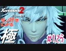ゼノ好きによるゼノブレイド2初見でやり込み極プレイpart125【実況】