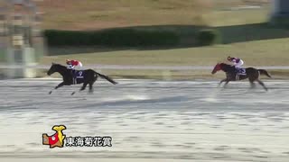 愛知県知事杯 第60回東海菊花賞 グレイトパール