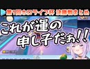【マリカー】第1回ホロライブ杯 ホロつよ戦 各視点まとめ