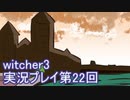 探し人を求めてwitcher3実況プレイ第22回