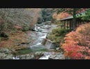 【生海月】なまくらじお【2019.11.15】