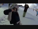 フィンランドの雪