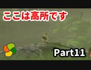 【実況】今年で定年を迎える父をハイラルの大地に放り込むPart11【ゼルダの伝説BotW】