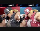 格闘ゲーマー2人がスマブラSPでテリーを使うと弊害がすごい