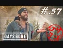 【DaysGone】ヘタレゴーン【初見実況】#.57