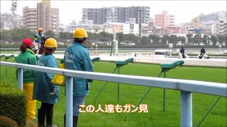 【現地映像】パドックで暴れていたリトルグッドの返し馬を見てみた