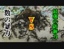 【ありの飼育記#85】蟻にゾウムシあげてみた　Ant vs Weevil