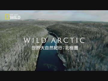 北極圏のフレンズ「凍てつく森」