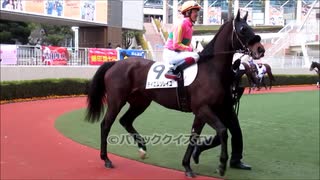 【現地映像】あなたの相馬眼を試してみてね　競馬のパドックだけ見て当てれる？難易度S　ヒントはダート1700m