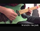 WANDS / Mr.JAIL【guitar cover】