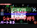 [Terraria+MOD]　ショートソード縛りEX パート４５　[ゆっくり実況]
