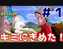 新たな冒険【ポケットモンスター ソード】＃１