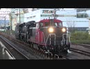 【山口に】D51回送@向日町(20191115)【持ってくの？】