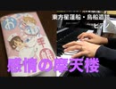 【東方ピアノ】感情の摩天楼【アレンジ】