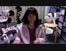 【猫の多頭飼い】ねこ姉さんふじ子のおしゃべり報告会 2019.11.15