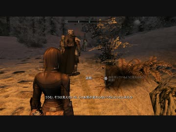 【初見】ＳｋｙｒｉｍＳＥ　遊んでみる別枠（盗賊はどこまで逃げるのか？）