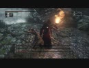 【レベル544】右手武器使用禁止で三周目ボス攻略【Bloodborne】　05