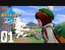 【ポケモン剣盾(ソード)】自分をヒバニーだと思い込んでいる男【1匹目】